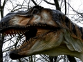 Igra T-Rex Dinozavra Jigsaw  spletu
