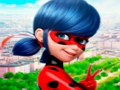 Igra Zbirka sestavljanke LadyBug  spletu
