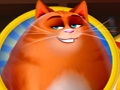 Igra Kitty Scramble spletu