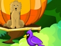 Igra Blossom Garden Escape spletu