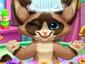 Igra Kitten kopel  spletu
