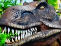 Igra Sestavljanka mesojedega tiranozavra Rex  spletu