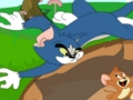 Igra Tom in Jerry v sodelovanju  spletu