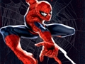 Igra Spiderman Color Fall spletu