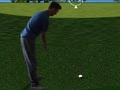 Igra Flash Golf 3D  spletu