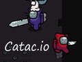 Igra Catac. io  spletu