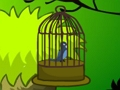 Igra Cage ptica pobeg spletu