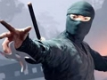 Igra Dotaknite se Ninja  spletu