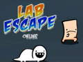 Igra Lab Escape Online spletu