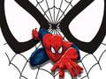 Igra Spiderman Match Card spletu