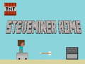 Igra Steveminer Home spletu