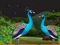 Igra Parrot Parrot Escape  spletu
