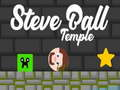 Igra Tempelj Steve Ball  spletu