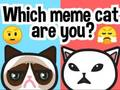 Igra Kateri Meme Cat si ti?  spletu