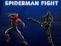 Igra Spiderman Boj  spletu