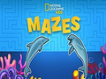 Igra Nat Geo Kids Mazes spletu