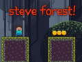 Igra Steve Forest spletu
