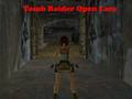 Igra Tomb Raider Open Lara spletu