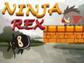 Igra Ninja Rex spletu