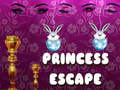 Igra Pobeg princese  spletu