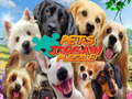 Igra PETS INSSAW UZE spletu