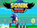 Igra Sonik Run spletu