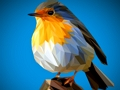 Igra Poly Birds Seja spletu