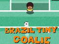 Igra Brazilski mali vratar  spletu