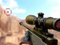 Igra Ostrostrelec 3D  spletu