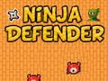 Igra Ninja branilec spletu