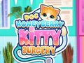 Igra Doc HoneyBerry Kitty kirurgija  spletu