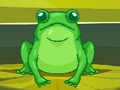 Igra Frog Match Mojster  spletu