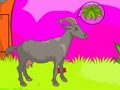 Igra Wolf Escape spletu