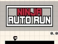 Igra Ninja Auto Run spletu