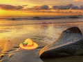 Igra Pobeg s plaže Sunset spletu