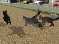 Igra Teci Cat Cat Race  spletu