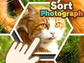 Igra Razvrsti fotografijo  spletu