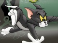 Igra Tom in Jerry Chase v močvirju  spletu