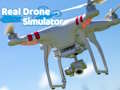 Igra Pravi simulator dronov  spletu