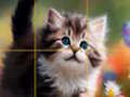 Igra Puzzle Drsna mačka  spletu