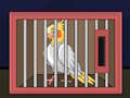 Igra Izpustite ptico cockatiel  spletu