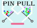 Igra PIN PUT spletu