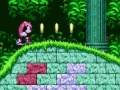 Igra Mighty & Ray v Sonic 2  spletu
