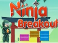 Igra Ninja preboj spletu
