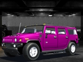 Igra Wild Race Master 3D spletu