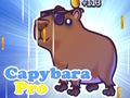 Igra Capybara Pro spletu