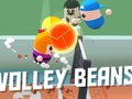 Igra Volley fižol  spletu