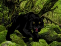 Igra Pobeg iz Black Panther Forest  spletu