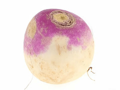 Igra Repa  spletu