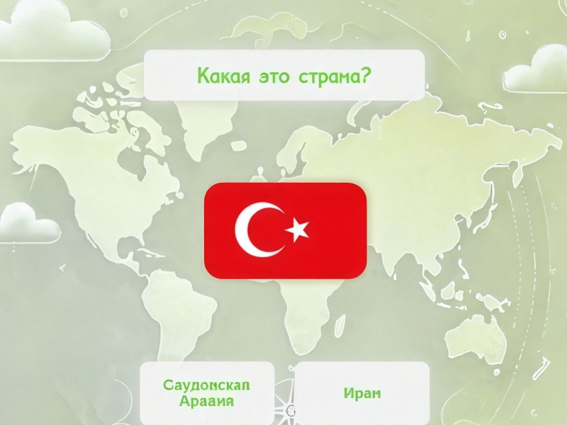 Igra Mojster zastave  spletu